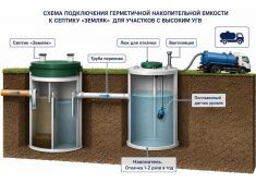 Зорде Рейн 8 Миди